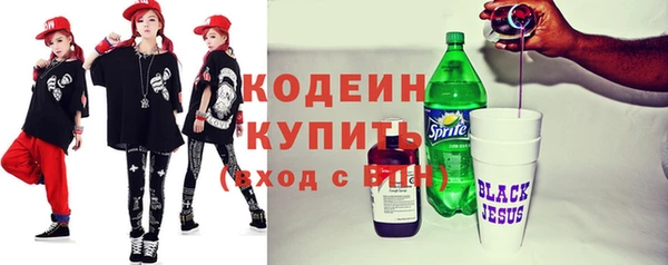 ешки Бородино