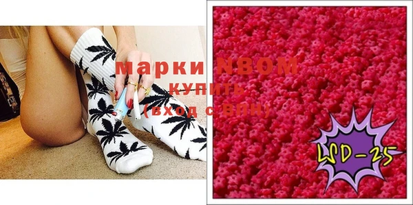 ешки Бородино