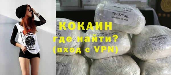 ешки Бородино